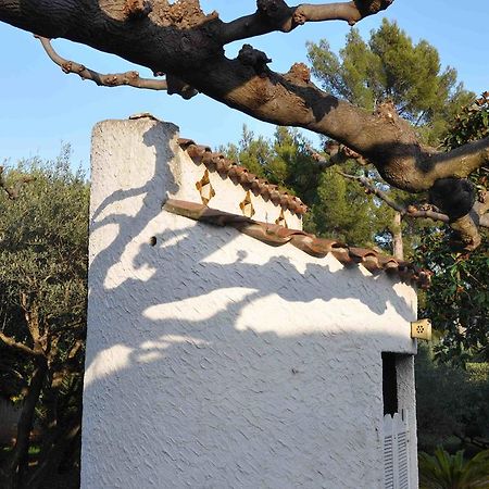 Du Cote De Chez Soi Hotell La Ciotat Eksteriør bilde