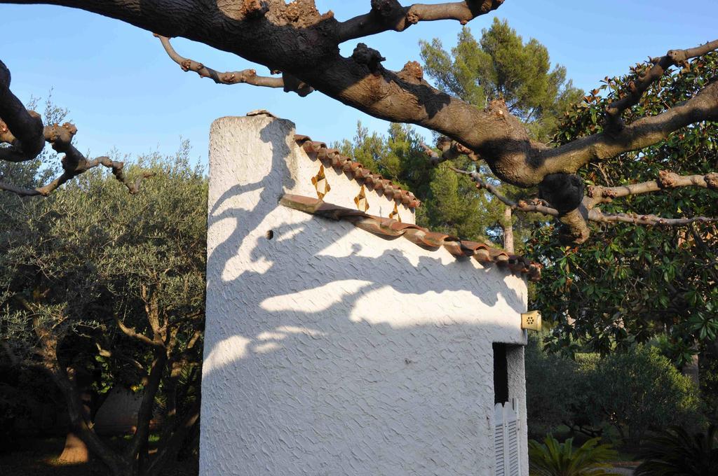 Du Cote De Chez Soi Hotell La Ciotat Eksteriør bilde