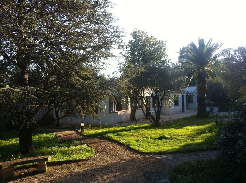 Du Cote De Chez Soi Hotell La Ciotat Rom bilde